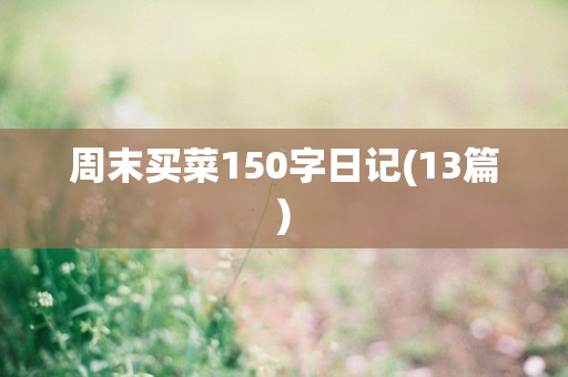 周末买菜150字日记(13篇)