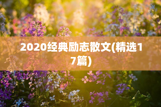 2020经典励志散文(精选17篇)